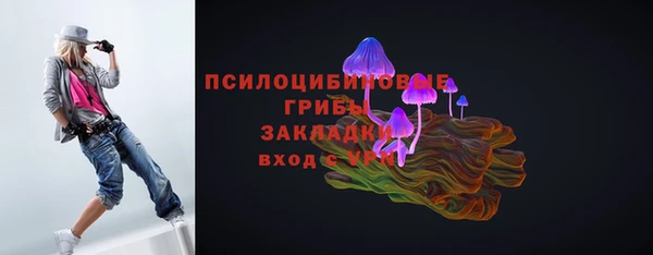индика Абинск