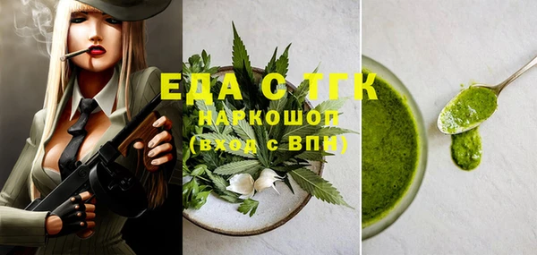 индика Абинск