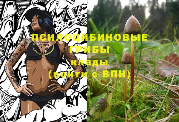 индика Абинск