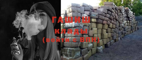 индика Абинск