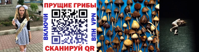 hydra вход  что такое наркотик  Сергач  Псилоцибиновые грибы мицелий 