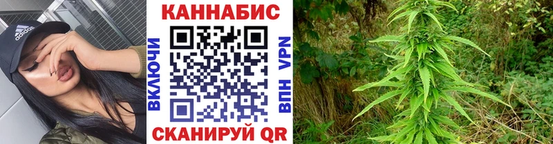 Бошки марихуана THC 21% Сергач